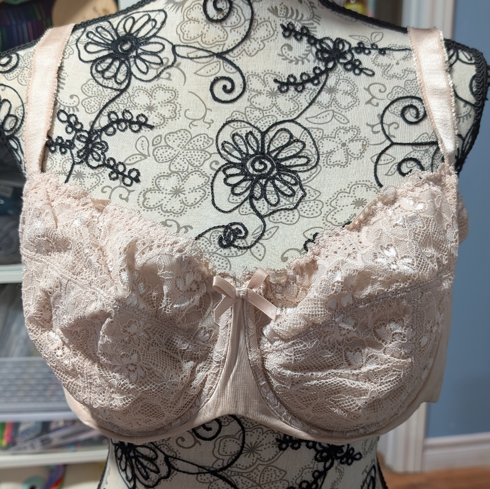 Torrid Lace Bra